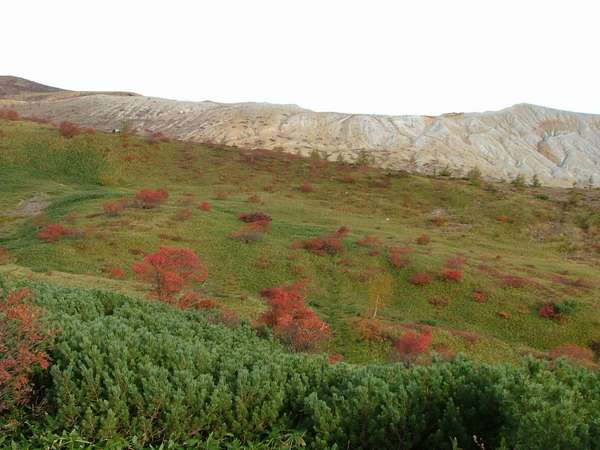 白根山の紅葉
