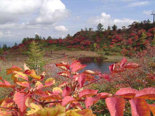 民宿 美山の写真その4