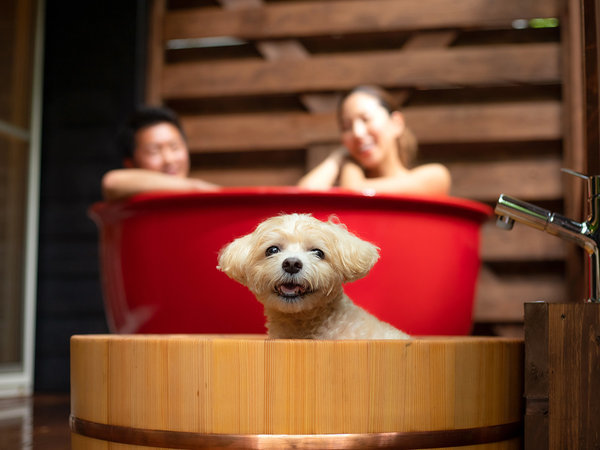 ホテルフォレストヒルズ那須 ～愛犬と旅する大自然のリゾート～の写真その5