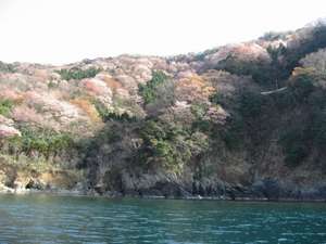 民宿 久介の写真その3