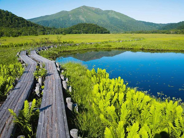 【夏・尾瀬国立公園】四季折々景観を変える日本最大級の山岳湿原。