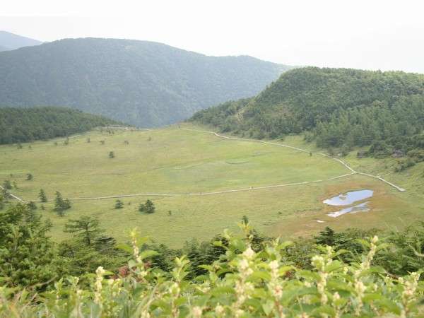 高山植物の宝庫、池の平湿原