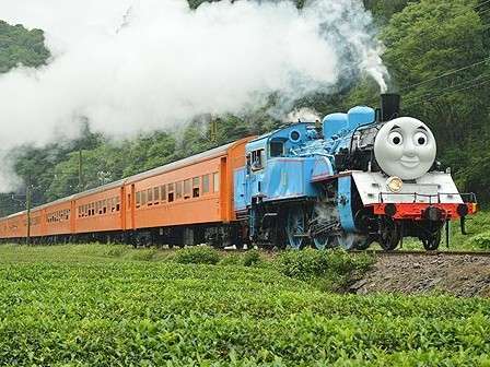 大人気！お茶畑の間を走る大井川鉄道のトーマス♪（期間限定）