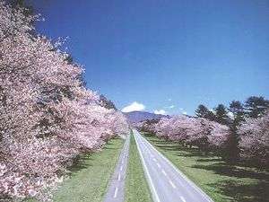 日本一の桜並木、二十間道路の桜まで車で15分♪大勢の観光客が訪れます。