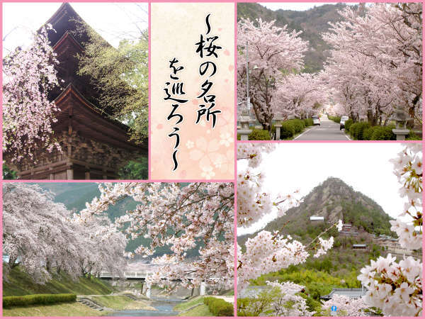 桜プラン画像