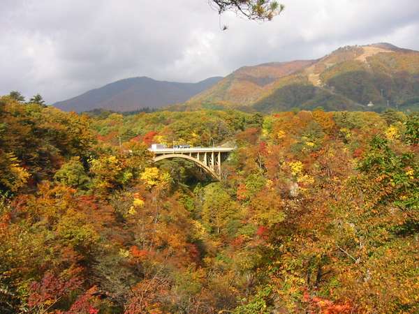 車で5分のところに有名な鳴子峡があります。散歩コースにも。