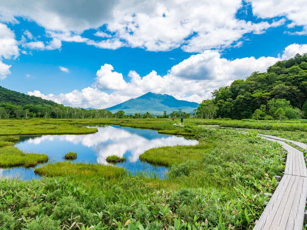 **「はるかな尾瀬、遠い空」で有名な尾瀬。 爽やかな高層湿原のご散策をぜひお楽しみください！