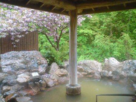 女性露天風呂。桜の咲く時期にはこんな風景の中で