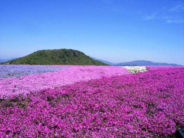 休暇村茶臼山高原の写真その3