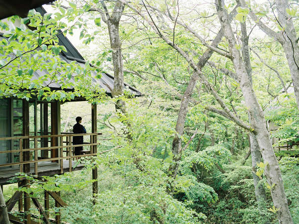 温泉山荘 だいこんの花の写真その2