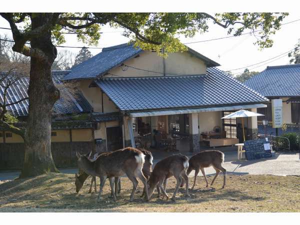 The Deer Park Innの写真その1