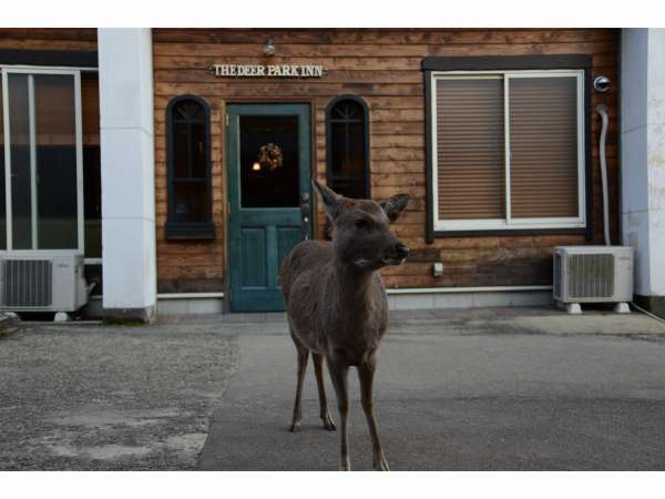 The Deer Park Inn / Mountain Home Lodge