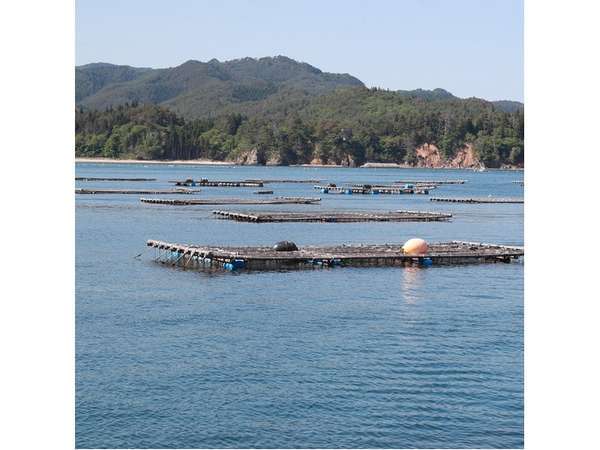 気仙沼大島 旅館 亀山荘の写真その5