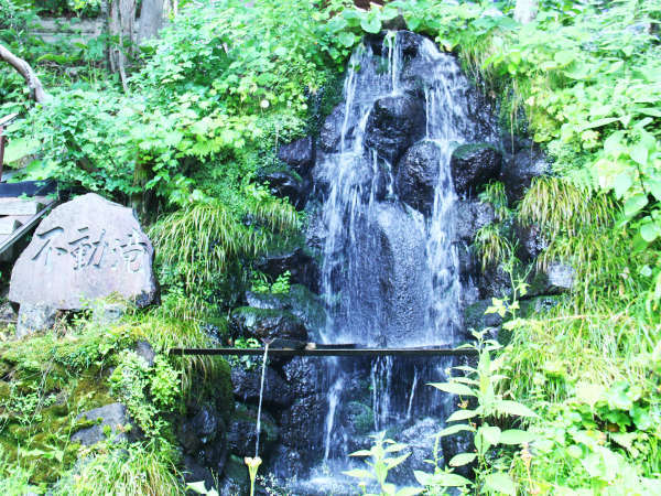 *戸隠神社宝光社の麓から湧き出る不動滝は本館の宝です。