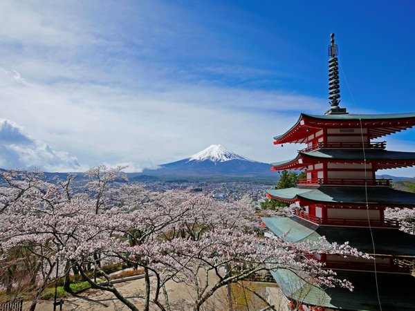 忠霊塔(新倉山浅間神社)へは当館から車で15分