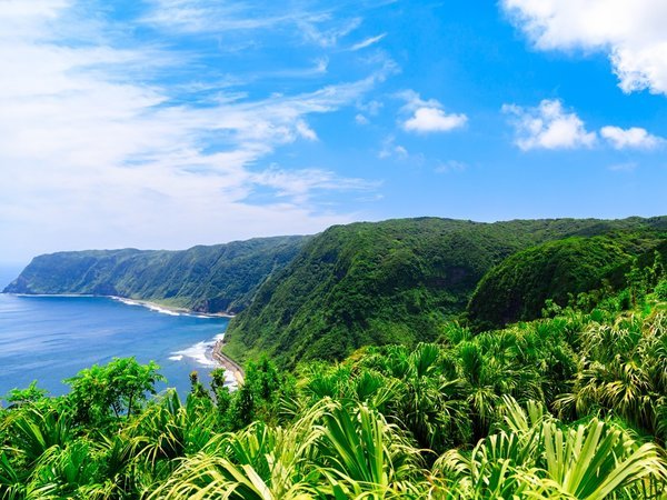 八丈島パークホテルの写真その5