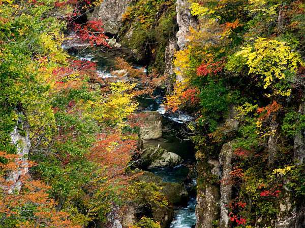 鳴子峡の紅葉