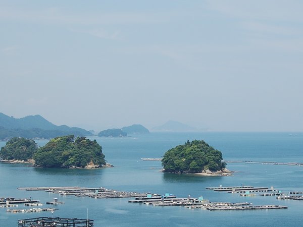 海からのそよ風や鳥のさえずり。くつろぎの宿小浜荘で心彩る時間をお過ごしください♪