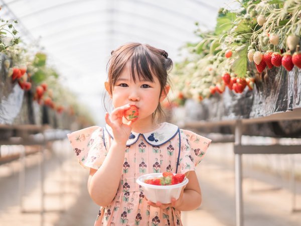 隣接「あぐりっ娘」でのいちご狩り