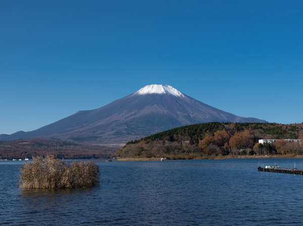 Tabist レイクサイドイン富士波 山中湖の写真その4