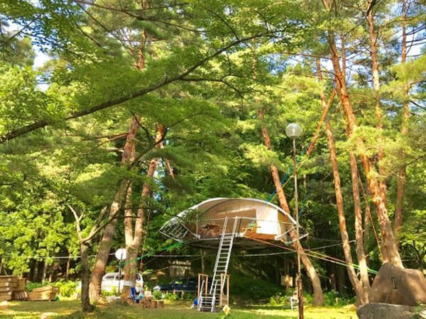 *新感覚ツリードーム「Dom'Up」沼沢湖キャンプ場に設置！当館からご予約可能です！