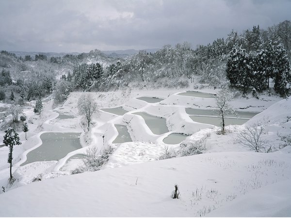 棚田（冬）