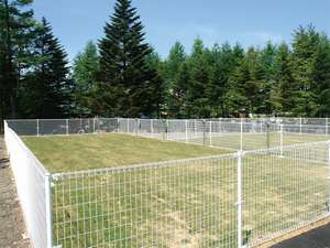 天然芝のドッグランは2つのスペース（20×8m、12×12m）ナイター照明付