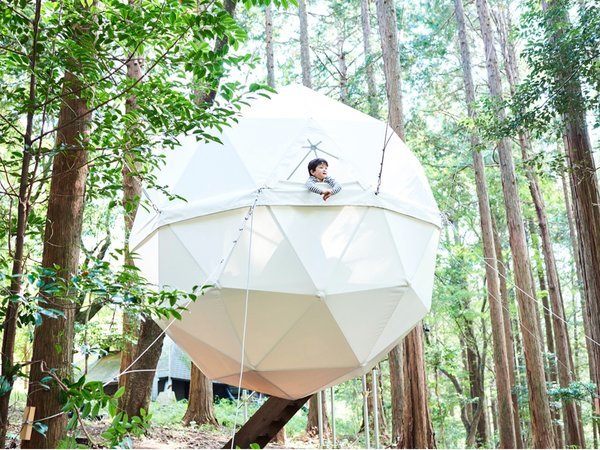 森の中に浮かぶ球体テント