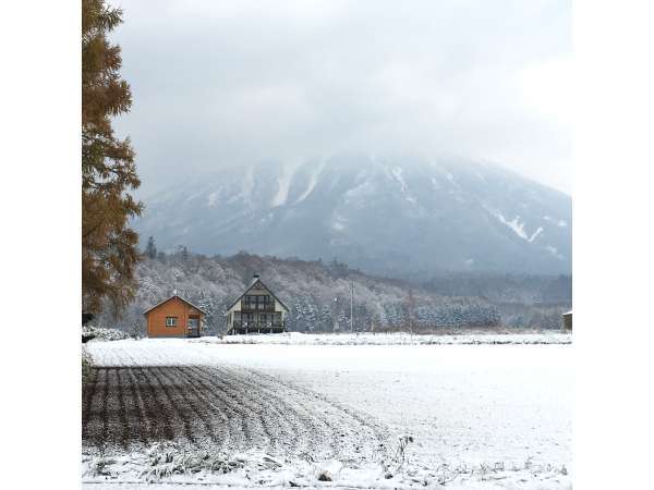 冬の景観