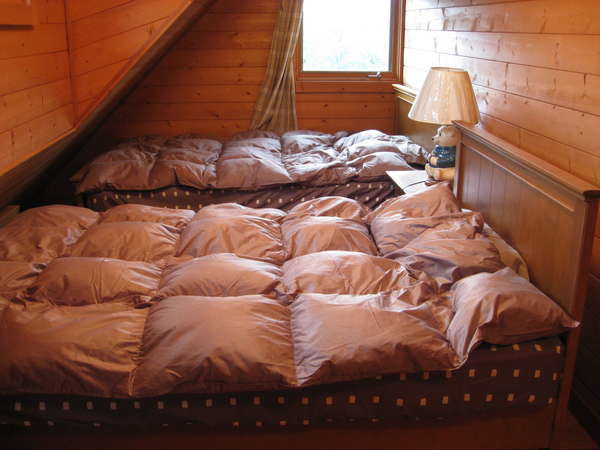 ２階寝室シングルベッド２台ドーマ付き８名様ご宿泊の場合は１組布団を敷いて頂きます