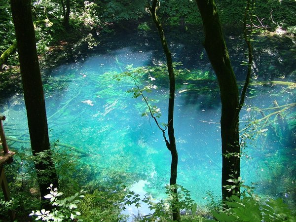 アオーネ白神十二湖の写真その2