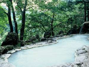 白骨温泉 白船荘新宅旅館の写真その2