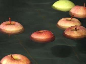 香り豊かな地元産りんごが浮かぶ「りんごの湯」