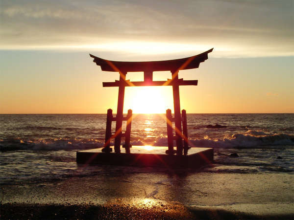 *金毘羅神社／この景色を見れたら良い事ありそう！神秘的な風景に心洗われます。