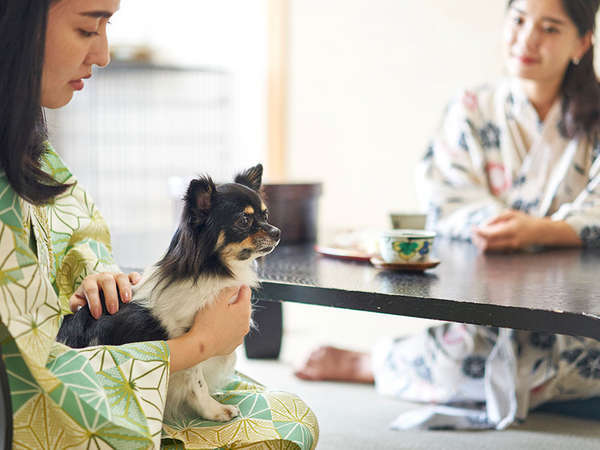 和室一例　畳でも愛犬と一緒にリラックスしておやすみいただけます。