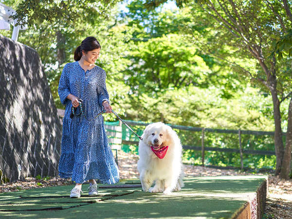 ペット&スパホテル 那須ワンの写真その2