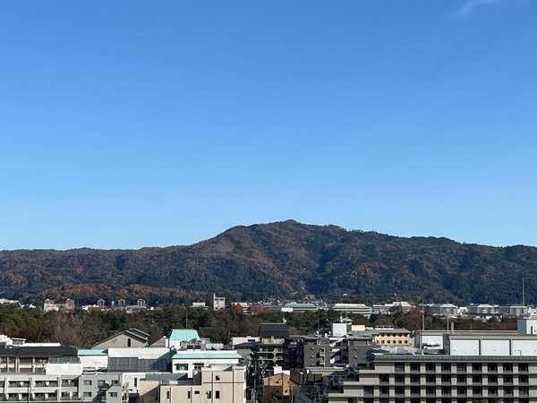 屋上からの眺望