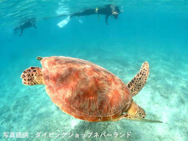 ・どこまでも透き通るような美しい海