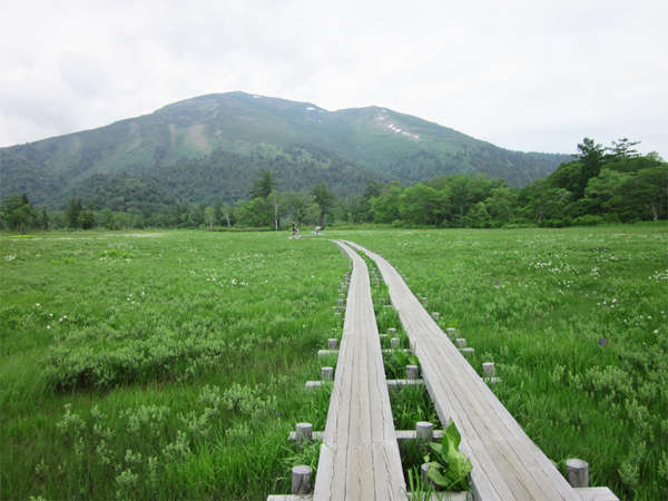 *尾瀬の風景/日本最大規模の高層湿原をゆっくりと楽しむ