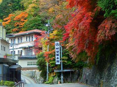 首都圏に近い秘湯 明賀屋(みょうがや)本館の写真その1