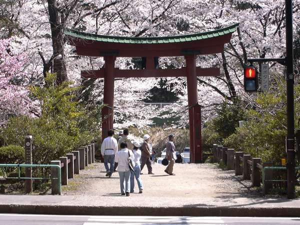 弥彦神社周辺の風景。一年を通して多くの人が訪れる。