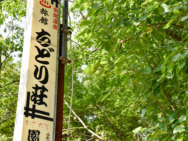 紫尾温泉 ちどり荘の写真その5