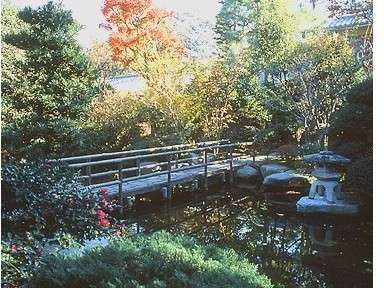 箱根湯本温泉 玉庭の写真その5