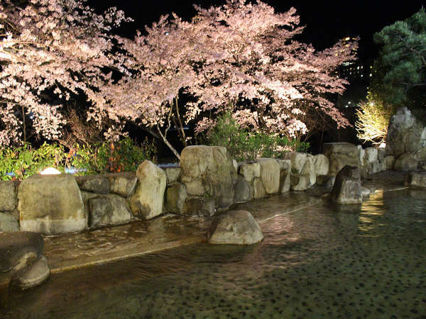 夜桜露天風呂（男性）桜のシーズンは名湯と夜桜で目も身体もリフレッシュして下さい♪
