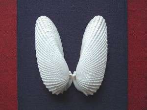 ペンション 天使の翼の写真その3