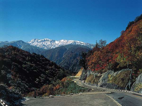 白山スーパー林道