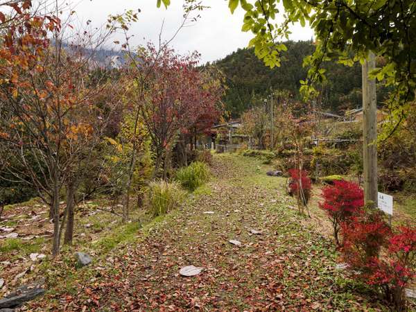 当館横のお散歩小道。無農薬菜園もあります。