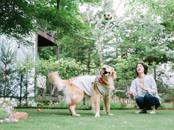 【本館】お部屋についた専用のお庭で思いっきりワンコと遊ぼう♪