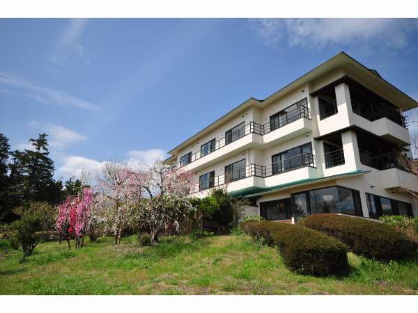 蜜柑の花咲く丘の宿 旅館 幸太荘の写真その1