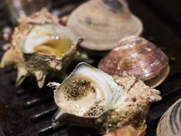 サザエが沸沸した時が食べ頃です♪貝類食べ比べ！